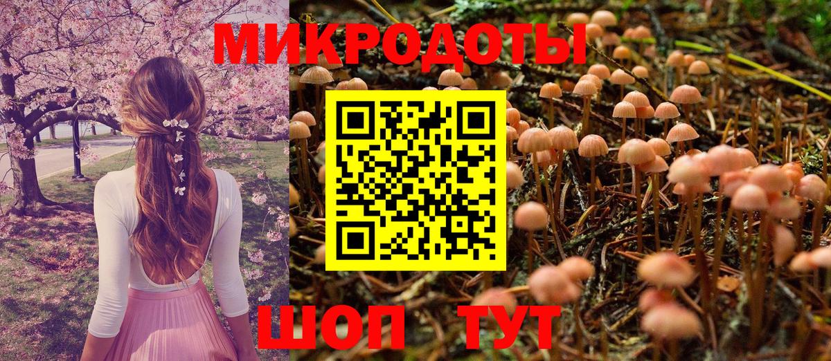 Псилоцибиновые грибы прущие грибы Тулун